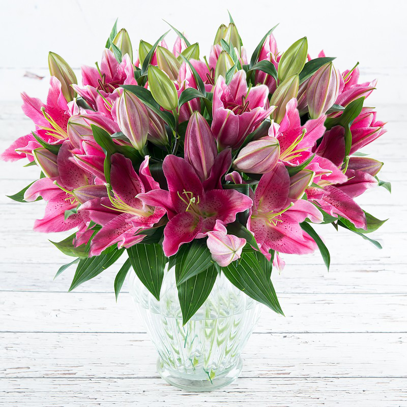 Pink Oriental Lilies - Fragrant Stargazer Lily Bouquet - Flower Bouquet - Next Day Flower Delivery UK - Appleyard London